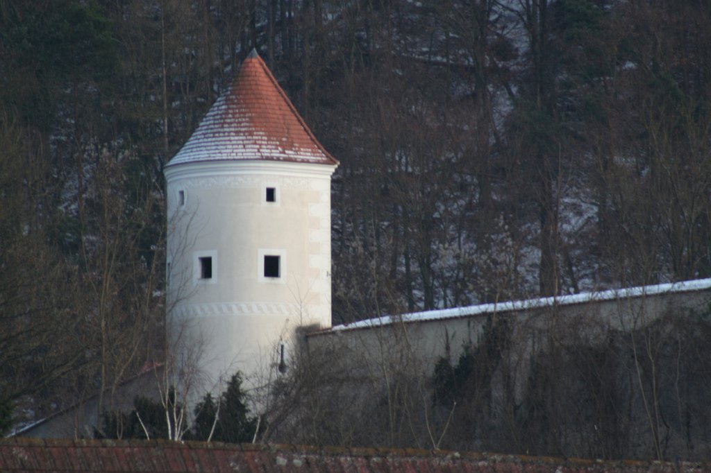 IMG_7664.JPG