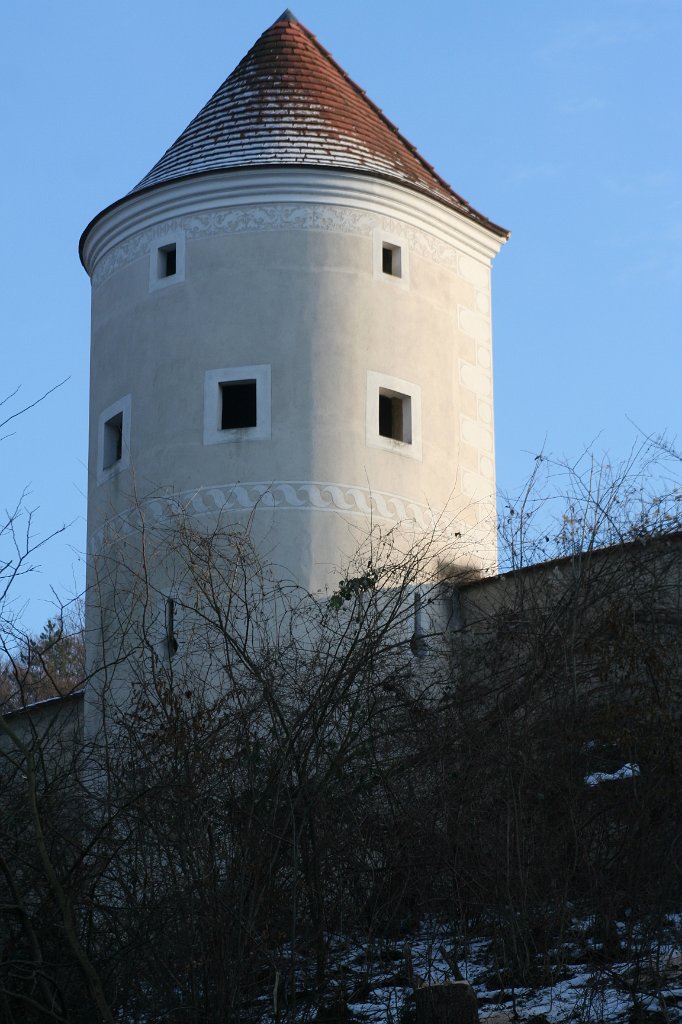 IMG_7670.JPG
